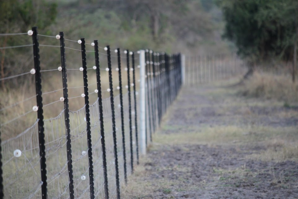 Kayonza:Uruzitiro rwa Pariki rwakemuye ibibazo by’inyamswa zangirizaga abaturage