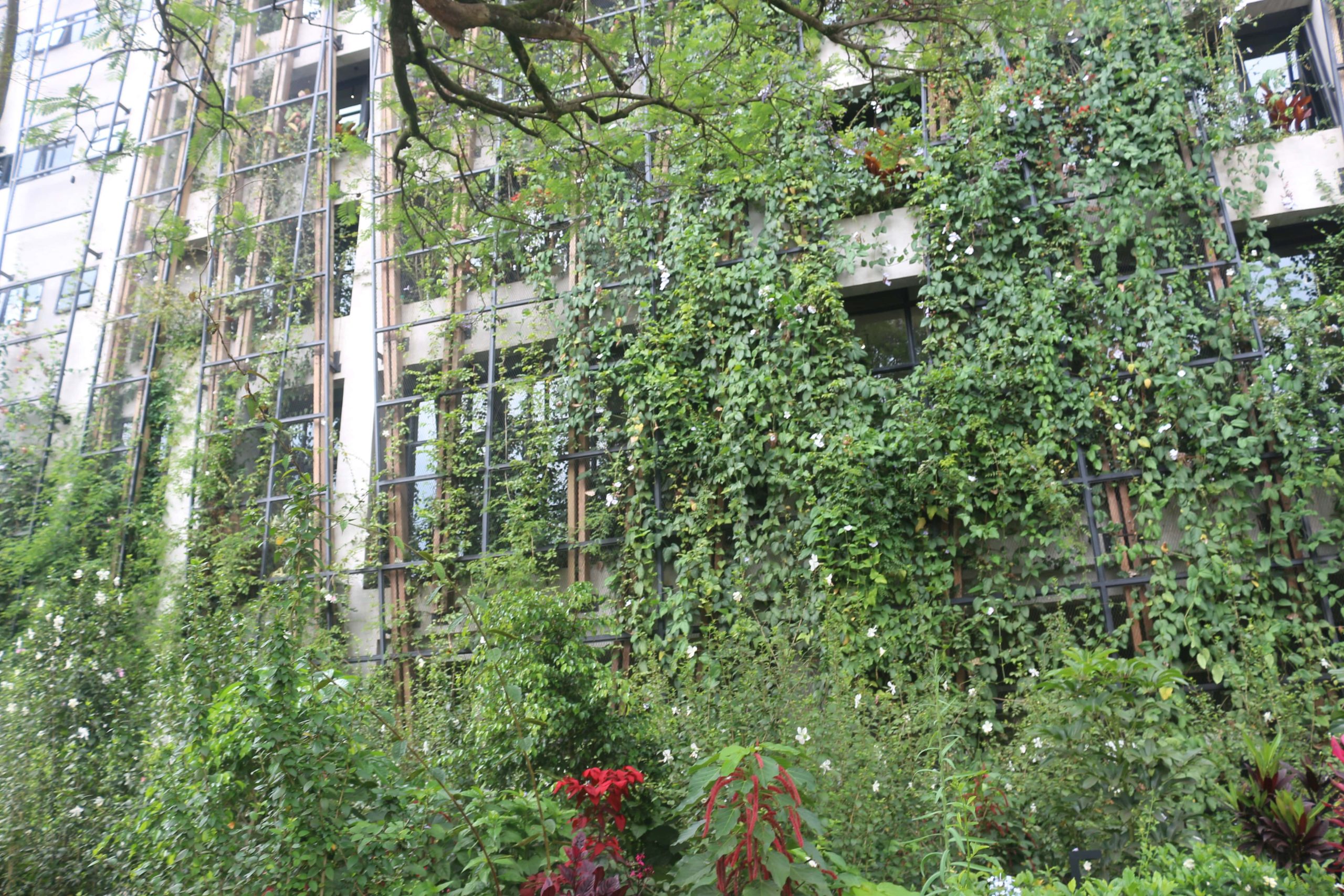 ECO-FRIENDLY ARCHITECTURE: A SUSTAINABLE RESPONSE TO CLIMATE CHANGE