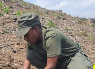 RP Kitabi College :What the future of forestry needs